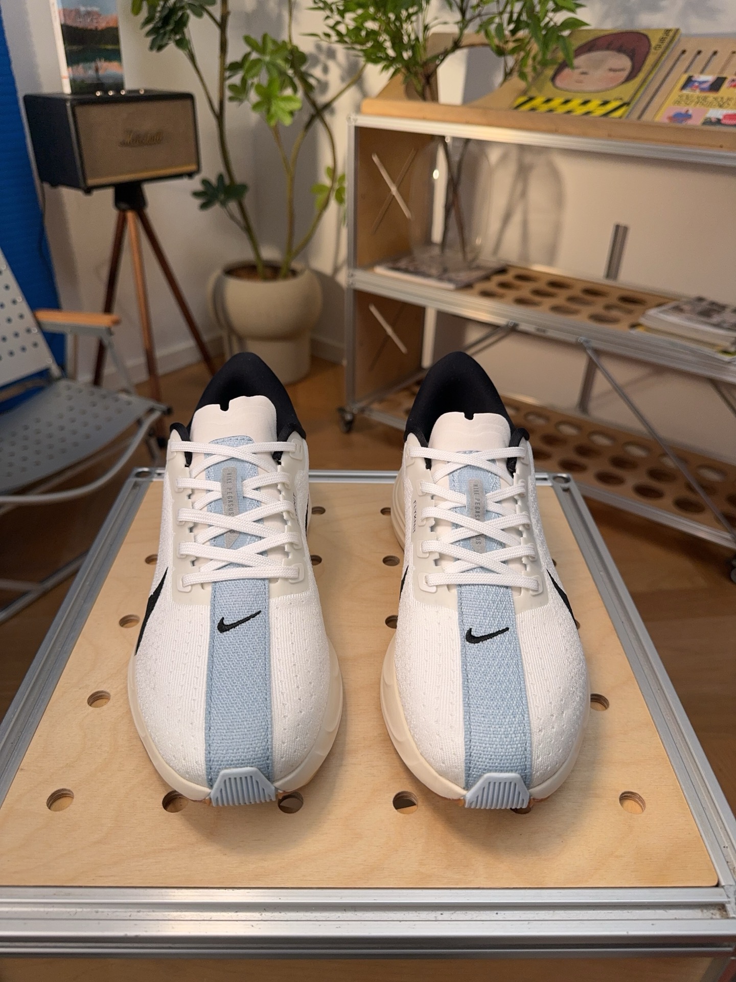 Nike Jordan